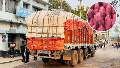 ট্রাকে করে মিষ্টিআলু আমদানি