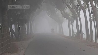 কুয়াশাচ্ছন্ন শীতের সময়