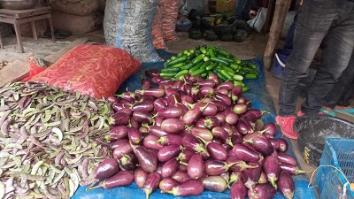 নীলফামারীর কাঁচা বাজারে বেগুন