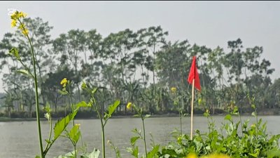 ভূমি উদ্ধার করে লাল পতাকা টাঙিয়ে দিয়েছে প্রশাসন