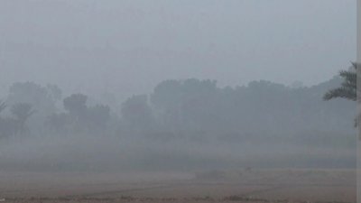শীতের কুয়াশাচ্ছন্ন সকাল