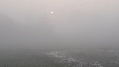 ঘন কুয়াশায় সূর্যের উঁকি