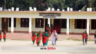 সরকারি প্রাথমিক বিদ্যালয় (ফাইল ছবি)
