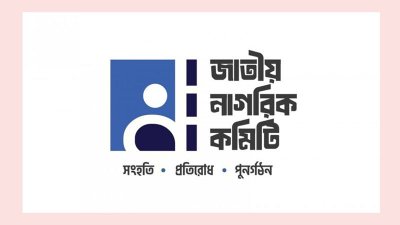 জাতীয় নাগরিক কমিটি