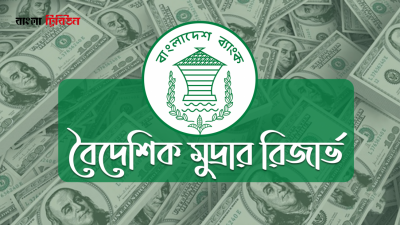 বৈদেশিক মুদ্রার রিজার্ভ