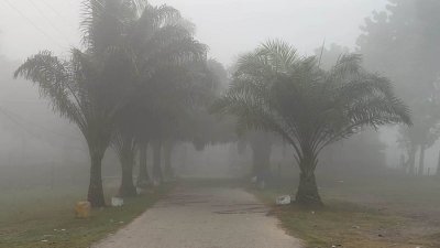 শীতের কুয়াশাচ্ছন্ন সকাল