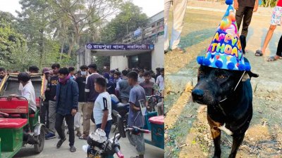নরসিংদীর রায়পুরা উপজেলায় পালিত একটি কুকুরকে টেঁটাবিদ্ধ করে হত্যার অভিযোগ
