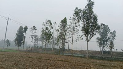 সকাল থেকেই ওঠেনি সূর্য