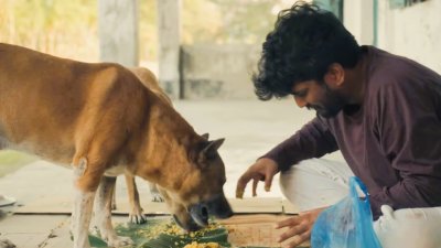 একটি দৃশ্যে কুকুর ও পার্থ শেখ