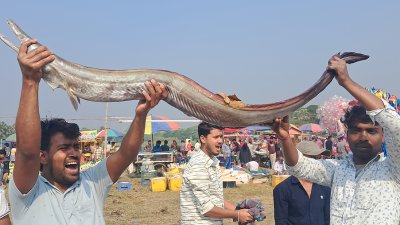 ঐতিহ্যবাহী এই মেলায় বিপুল মানুষের সমাগম হয়