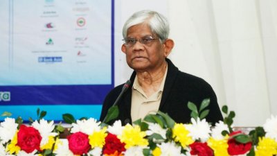 অর্থ উপদেষ্টা ড. সালেহউদ্দিন আহমেদ (ফাইল ছবি)