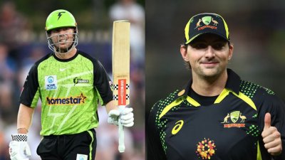 ডেভিড ওয়ার্নার ও টিম ডেভিড