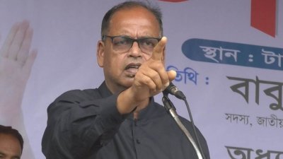 শামসুজ্জামান দুদু (ফাইল ছবি)