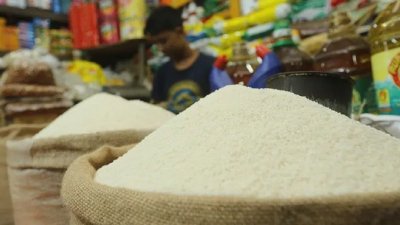 এবার সিঙ্গাপুর থেকে নন-বাসমতি সিদ্ধ চাল আমদানির সিদ্ধান্ত নিয়েছে সরকার (ফাইল ছবি)