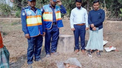 চট্টগ্রামের প্রাকৃতিক মৎস্য প্রজননকেন্দ্র হালদা নদীর শাখা খাল থেকে ১৫ কেজি ওজনের একটি মৃত ডলফিন উদ্ধার করা হয়
