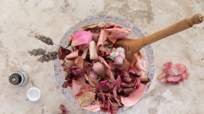 ছবি- সংগৃহীত