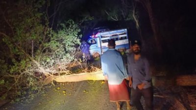 সড়কে গাছ ফেলে একটি বিআরটিসি বাস ও মাইক্রোবাসে ডাকাতির ঘটনা ঘটেছে