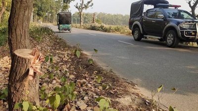 ঘাটাইল-সাগরদীঘি সড়কে গাছ ফেলে শিক্ষাসফরের চারটি বাসে ডাকাতি