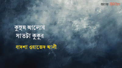 কুসুম আলোয় সাতটা কুকুর