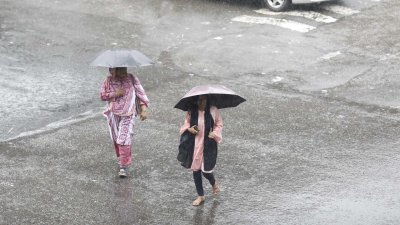 বৃষ্টি (ছবি: সাজ্জাদ হোসেন)
