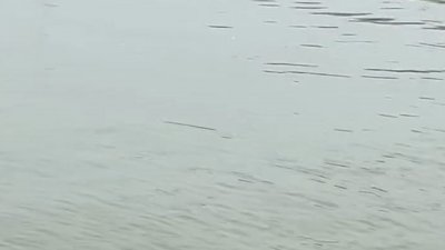কীর্তিনাশা নদীতে বাল্কহেডে ডাকাতি করতে এসে স্থানীয় বাসিন্দাদের পিটুনিতে নদীতে পড়ে নিখোঁজ হওয়া এক ডাকাতের লাশ দুই দিন পর নদীতে ভেসে উঠেছে