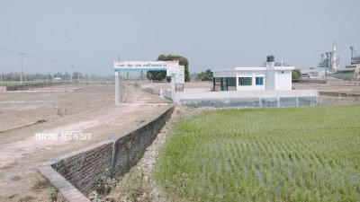 কৃষিজমিতে গড়ে উঠছে আবাসন প্রকল্প