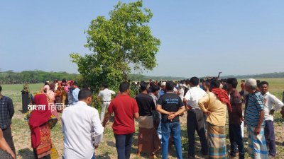 মঙ্গলবার রাতে বদরখালী ইউনিয়নের কুমারখালি গ্রামের ডালক্ষেতের পরিত্যক্ত জায়গায় মিরাজকে কুপিয়ে হত্যা করে দুর্বৃত্তরা
