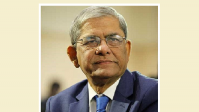 মির্জা ফখরুল ইসলাম আলমগীর (ফাইল ছবি)