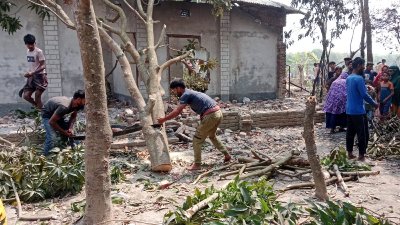কেটে নেওয়া হচ্ছে বাড়ির গাছ