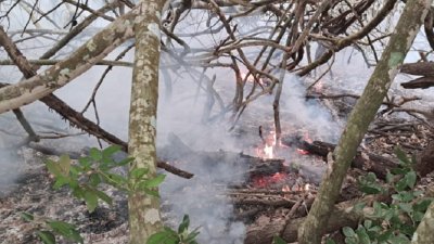 রাতের মধ্যে সুন্দরবনের আগুন নির্বাপণে সর্বাত্মক প্রচেষ্টা চালানো হচ্ছে