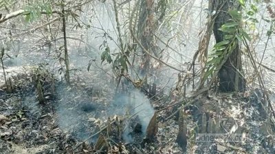 সুন্দরবনে আগুন