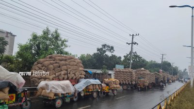 রাজশাহীর সবচেয়ে বড় হিমাগার রহমান কোল্ড স্টোরেজের সামনে ২১ মার্চ এক কিলোমিটার দীর্ঘ আলুর গাড়ির সারি বৃষ্টিতে ভিজেছে সারাদিন