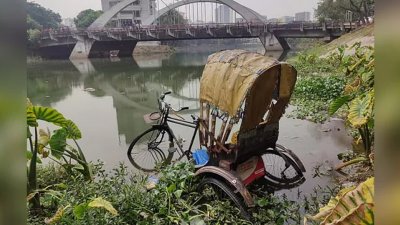 প্যাডেল চালিত রিকশা গুলশান লেকে ফেলে দেন ব্যাটারি চালিত রিকশা চালকেরা। ছবি: সংগৃহীত