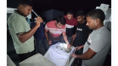 পরীক্ষা করে চিংড়ি মাছে ক্ষতিকর দ্রব্য পাওয়া যায়