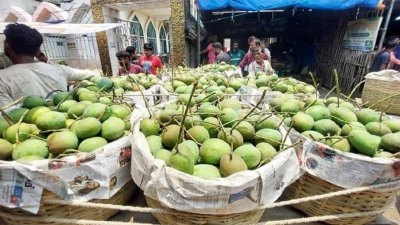 আমের ফাইল ছবি