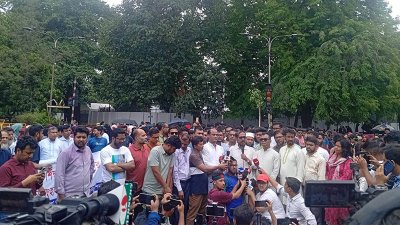 কথা বলছেন  অধ্যাপক ড. রইছউদ্দীন