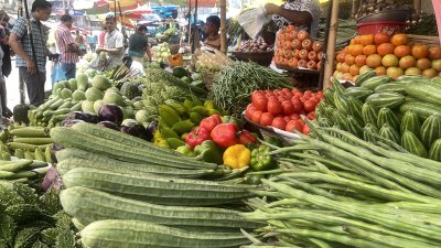 সবজির দাম সামনে আরও কমে যাওয়ার সম্ভাবনা রয়েছে