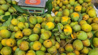 ছবি- বাংলা ট্রিবিউন