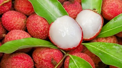 ছবি- সংগৃহীত