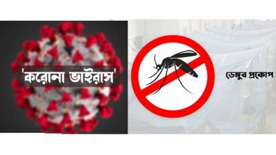 করোনাভাইরাস ও ডেঙ্গুর প্রকোপ (প্রতীকী ছবি)