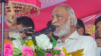 কথা বলছেন  ড. আব্দুল মঈন খান (ফাইল ছবি)