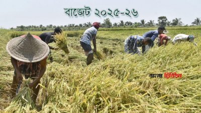 কৃষিতে ভর্তুকি দিতে ২০২৫-২৬ অর্থবছরের বাজেটে ২৫ হাজার কোটি টাকা বরাদ্দ চেয়েছে কৃষি মন্ত্রণালয়