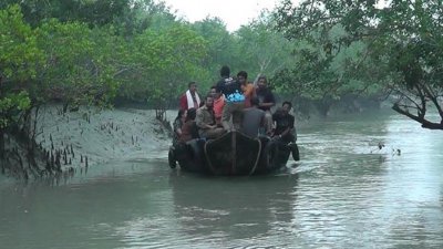 জীববৈচিত্র্য রক্ষায় সুন্দরবনে প্রবেশে তিন মাসের জন্য নিষেধাজ্ঞা দিয়েছে বন বিভাগ