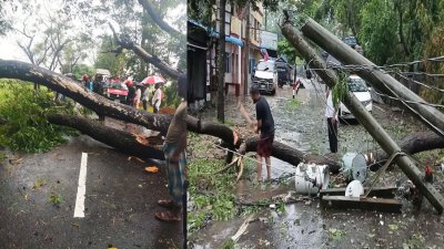 চট্টগ্রামের বিভিন্ন সড়কে গাছপালা উপড়ে পড়ে যানবাহন চলাচলে ব্যাঘাত ঘটেছে