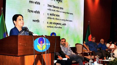 বক্তব্য দিচ্ছেন সৈয়দা রিজওয়ানা হাসান