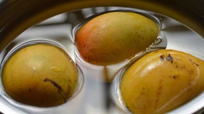 ছবি- সংগৃহীত