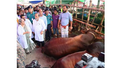 পলিটেকনিক ইনস্টিটিউট মাঠের পশুরহাট পরিদর্শনে উপদেষ্টা ফরিদা আখতার