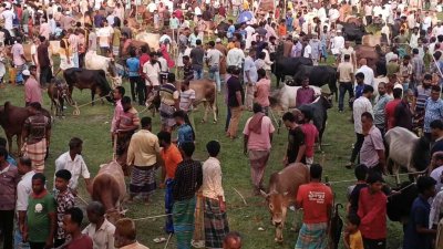 ক্রেতারা বলছেন, বাজারে পর্যাপ্ত প্রাণী থাকলেও দাম অনেকটাই চড়া