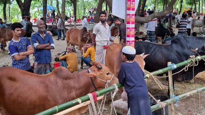 ময়মনসিংহের একটি পশুর হাট