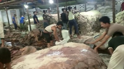 আড়তদাররা চামড়া সংগ্রহ করছেন